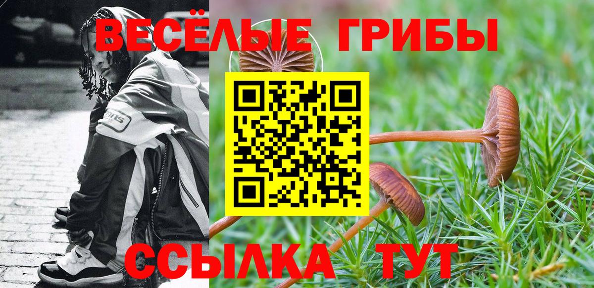Псилоцибиновые грибы мицелий Сосновоборск