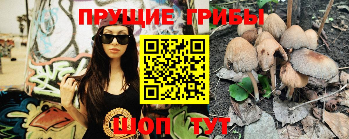 Псилоцибиновые грибы мухоморы  Вход с VPN  Сосновоборск 
